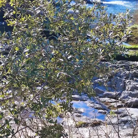 Rural, Jardin, A 25 Minutos De Bilbao, Parking Gratuito * Arantzazu