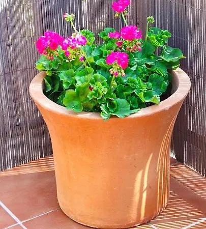 Rural, Jardin, A 25 Minutos De Bilbao, Parking Gratuito * Arantzazu