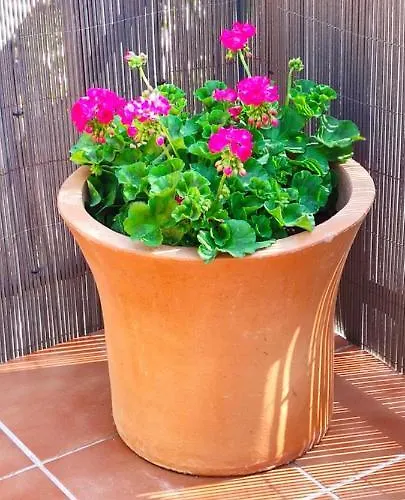 Rural, Jardin, A 25 Minutos De Bilbao, Parking Gratuito * Arantzazu