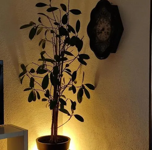 Rural, Jardin, A 25 Minutos De Bilbao, Parking Gratuito