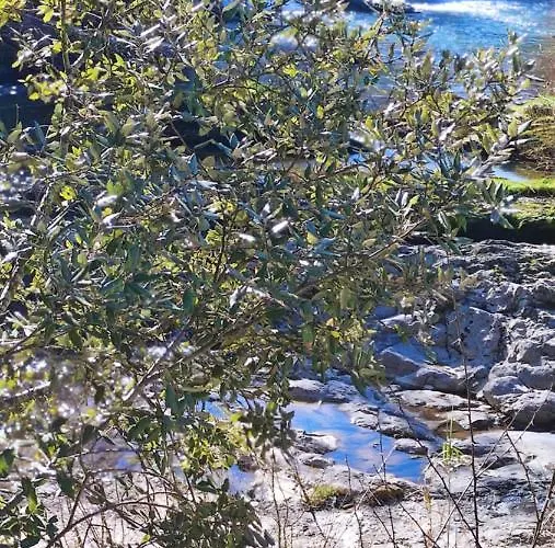 Rural, Jardin, A 25 Minutos De Bilbao, Parking Gratuito * Arantzazu